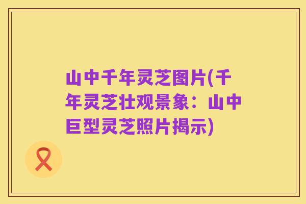 山中千年灵芝图片(千年灵芝壮观景象:山中巨型灵芝照片揭示)