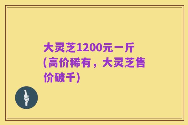 大灵芝1200元一斤(高价稀有，大灵芝售价破千)