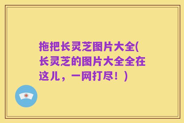 拖把长灵芝图片大全(长灵芝的图片大全全在这儿,一网打尽!)