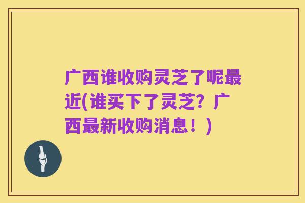 广西谁收购灵芝了呢最近(谁买下了灵芝？广西最新收购消息！)