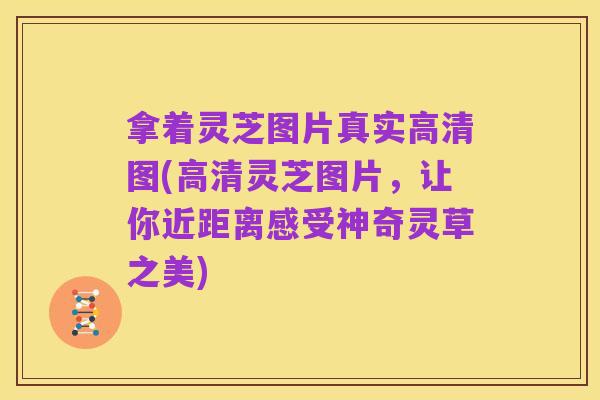 拿着灵芝图片真实高清图(高清灵芝图片,让你近距离感受神奇灵草之美)