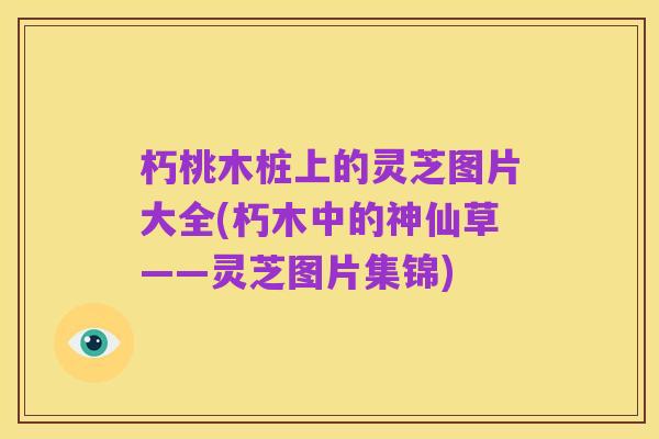 朽桃木桩上的灵芝图片大全(朽木中的神仙草——灵芝图片集锦)