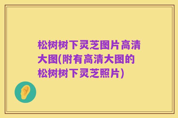 松树树下灵芝图片高清大图(附有高清大图的松树树下灵芝照片)
