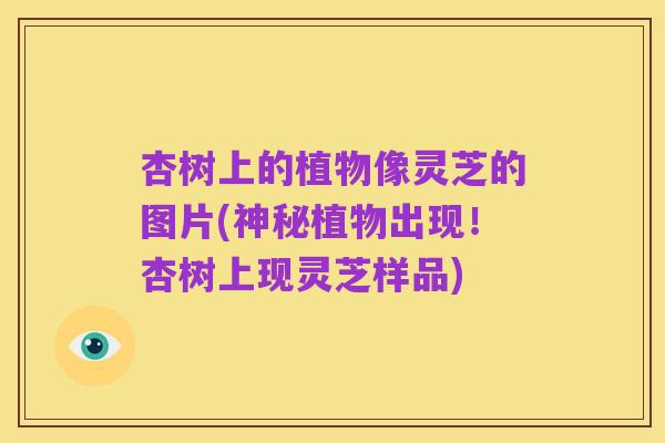 杏树上的植物像灵芝的图片(神秘植物出现!杏树上现灵芝样品)