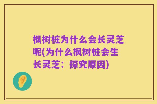 枫树桩为什么会长灵芝呢(为什么枫树桩会生长灵芝:探究原因)