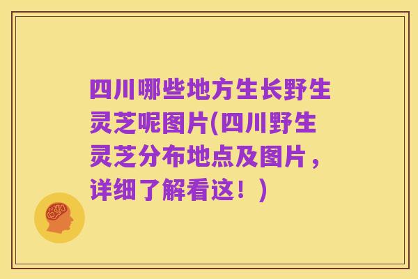 四川哪些地方生长野生灵芝呢图片(四川野生灵芝分布地点及图片,详细了解看这!)