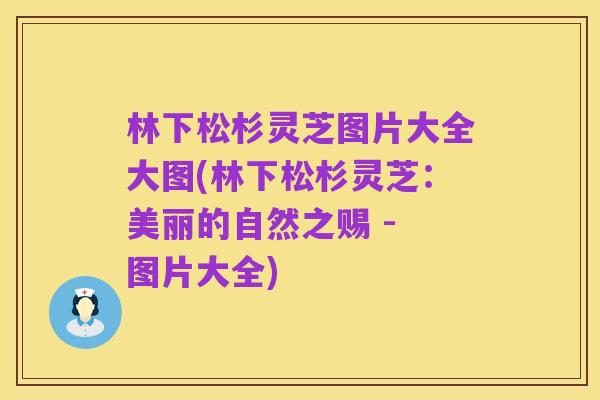 林下松杉灵芝图片大全大图(林下松杉灵芝:美丽的自然之赐 - 图片大全)