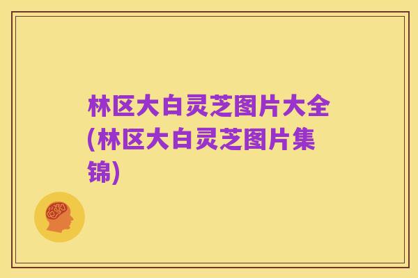林区大白灵芝图片大全(林区大白灵芝图片集锦)