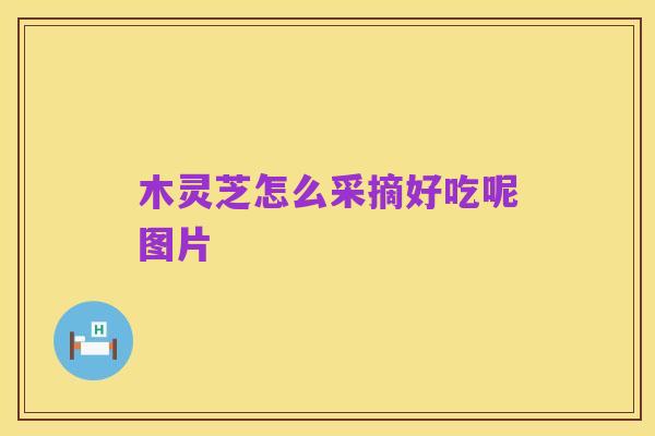 木灵芝怎么采摘好吃呢图片