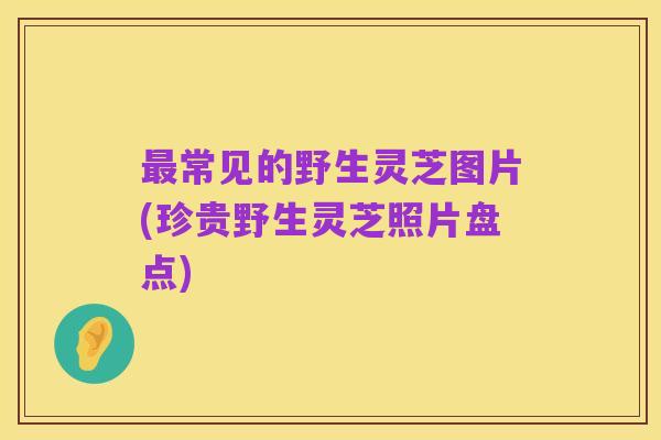 最常见的野生灵芝图片(珍贵野生灵芝照片盘点)