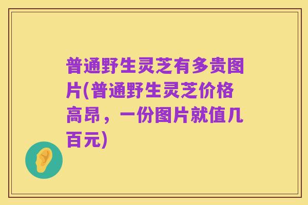 普通野生灵芝有多贵图片(普通野生灵芝价格高昂,一份图片就值几百元)