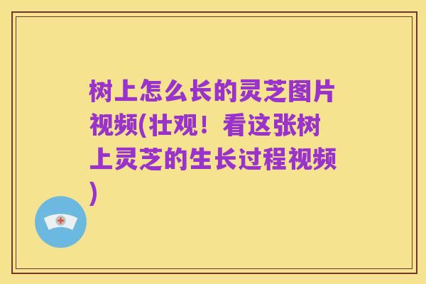 树上怎么长的灵芝图片视频(壮观!看这张树上灵芝的生长过程视频)