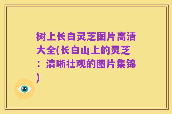 树上长白灵芝图片高清大全(长白山上的灵芝：清晰壮观的图片集锦)
