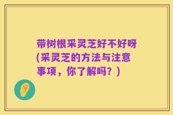 带树根采灵芝好不好呀(采灵芝的方法与注意事项,你了解吗?)