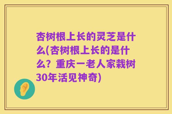杏树根上长的灵芝是什么(杏树根上长的是什么？重庆一老人家栽树30年活见神奇)