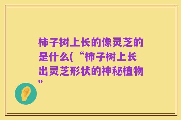 柿子树上长的像灵芝的是什么(“柿子树上长出灵芝形状的神秘植物”