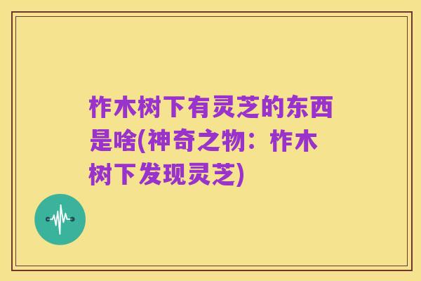 柞木树下有灵芝的东西是啥(神奇之物:柞木树下发现灵芝)