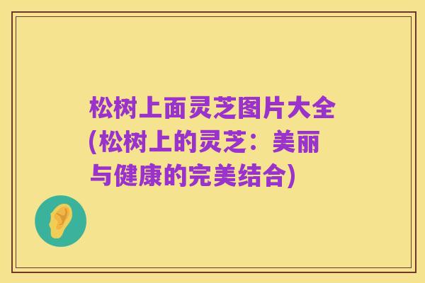 松树上面灵芝图片大全(松树上的灵芝:美丽与健康的完美结合)