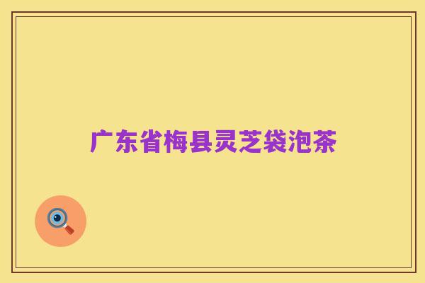 广东省梅县灵芝袋泡茶