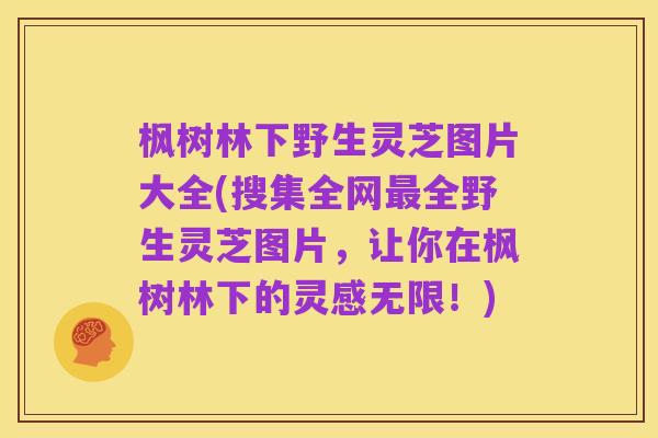 枫树林下野生灵芝图片大全(搜集全网最全野生灵芝图片,让你在枫树林下的灵感无限!)