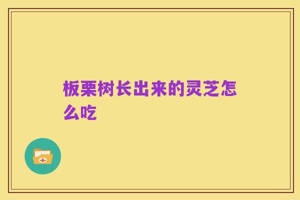 板栗树长出来的灵芝怎么吃