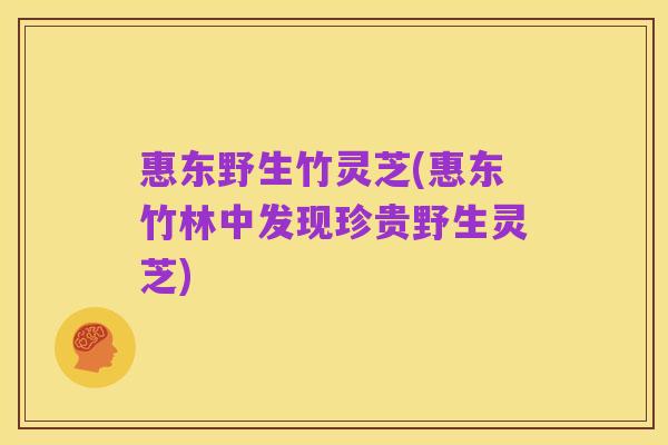 惠东野生竹灵芝(惠东竹林中发现珍贵野生灵芝)