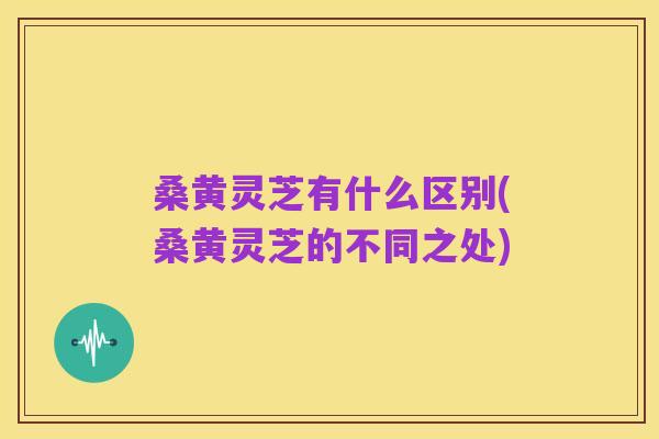 桑黄灵芝有什么区别(桑黄灵芝的不同之处)