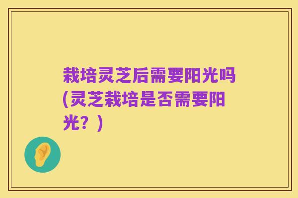 栽培灵芝后需要阳光吗(灵芝栽培是否需要阳光？)