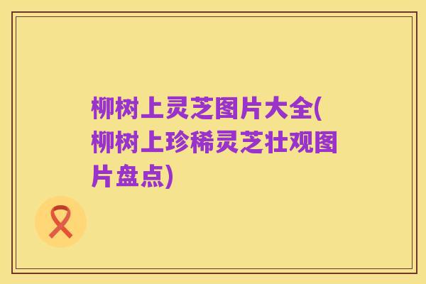 柳树上灵芝图片大全(柳树上珍稀灵芝壮观图片盘点)