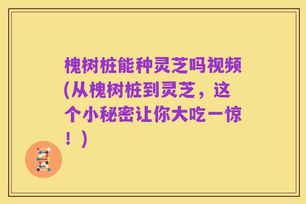 槐树桩能种灵芝吗视频(从槐树桩到灵芝,这个小秘密让你大吃一惊!)