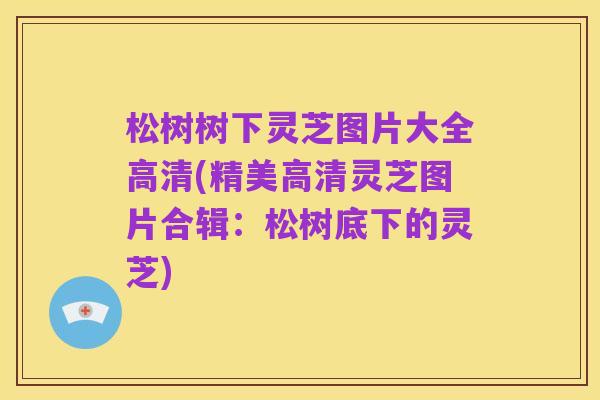 松树树下灵芝图片大全高清(精美高清灵芝图片合辑：松树底下的灵芝)