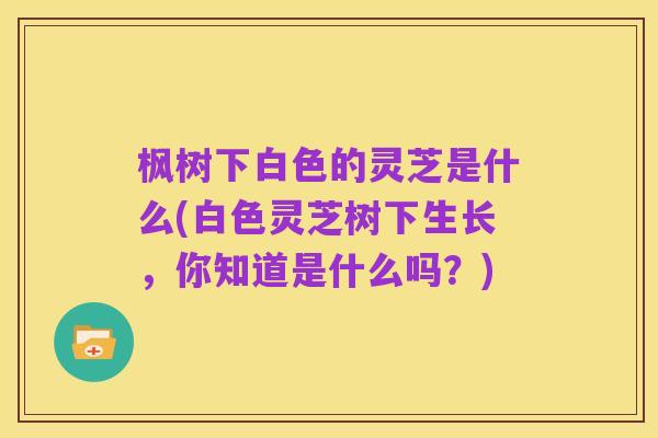 枫树下白色的灵芝是什么(白色灵芝树下生长,你知道是什么吗?)