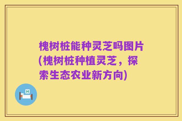 槐树桩能种灵芝吗图片(槐树桩种植灵芝,探索生态农业新方向)