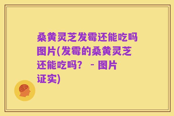 桑黄灵芝发霉还能吃吗图片(发霉的桑黄灵芝还能吃吗？ - 图片证实)