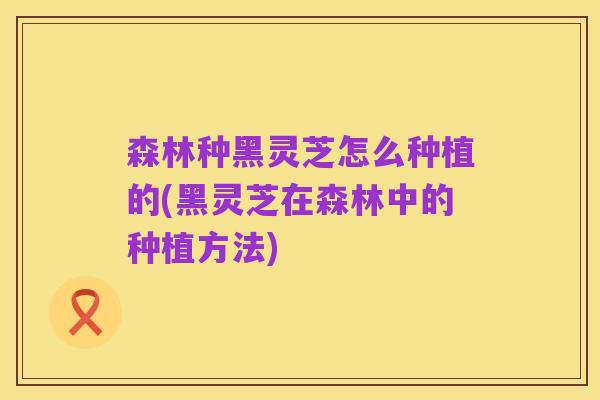 森林种黑灵芝怎么种植的(黑灵芝在森林中的种植方法)