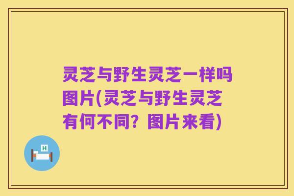 灵芝与野生灵芝一样吗图片(灵芝与野生灵芝有何不同?图片来看)