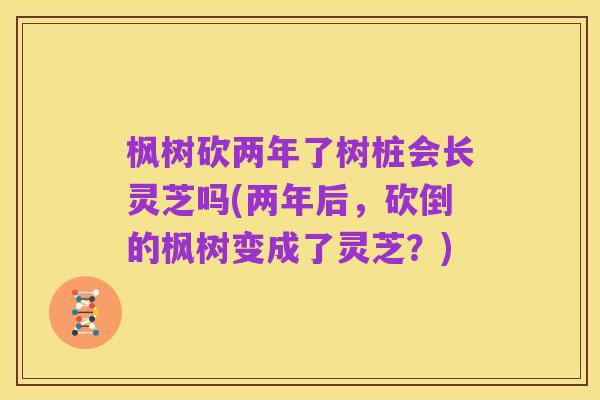 枫树砍两年了树桩会长灵芝吗(两年后，砍倒的枫树变成了灵芝？)