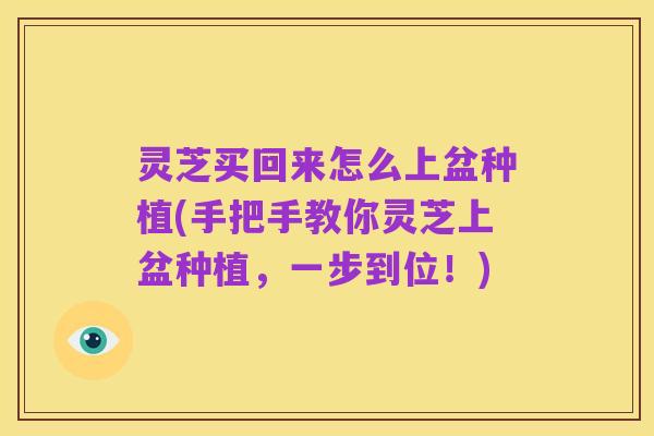 灵芝买回来怎么上盆种植(手把手教你灵芝上盆种植,一步到位!)
