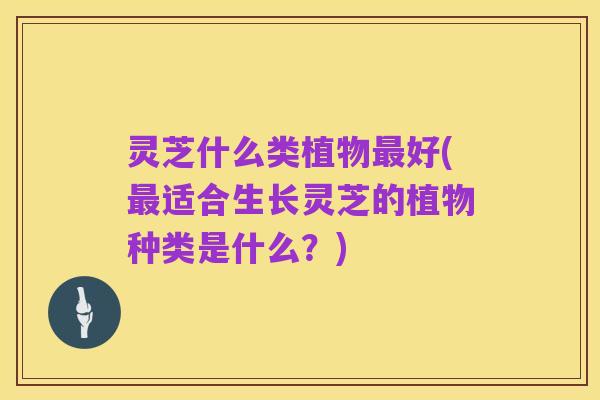 灵芝什么类植物最好(最适合生长灵芝的植物种类是什么?)