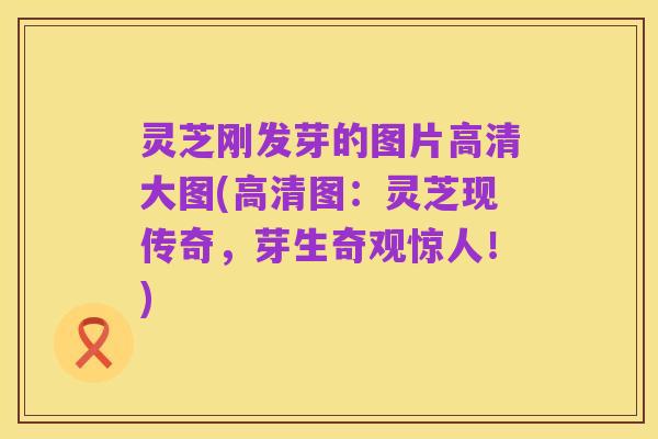 灵芝刚发芽的图片高清大图(高清图:灵芝现传奇,芽生奇观惊人!)