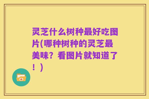 灵芝什么树种最好吃图片(哪种树种的灵芝最美味?看图片就知道了!)