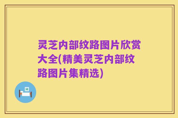 灵芝内部纹路图片欣赏大全(精美灵芝内部纹路图片集精选)