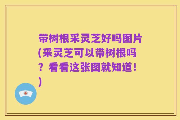 带树根采灵芝好吗图片(采灵芝可以带树根吗?看看这张图就知道!)