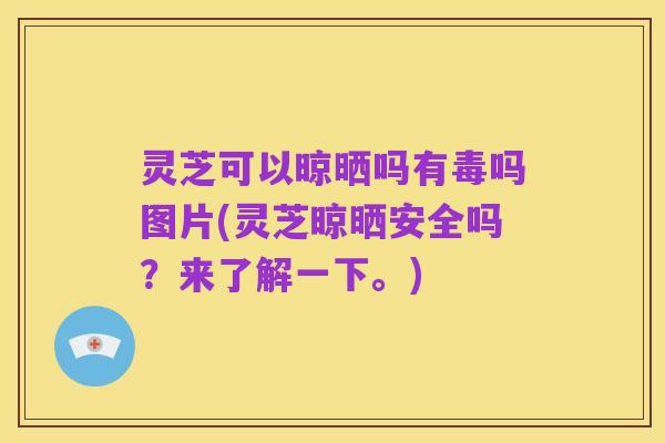 灵芝可以晾晒吗有毒吗图片(灵芝晾晒安全吗？来了解一下。)