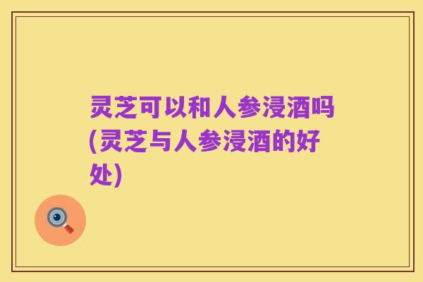灵芝可以和人参浸酒吗(灵芝与人参浸酒的好处)