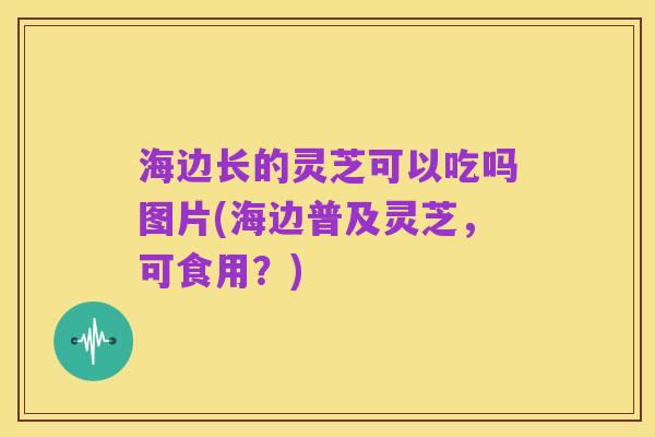 海边长的灵芝可以吃吗图片(海边普及灵芝,可食用?)