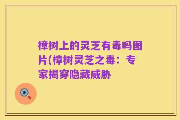 樟树上的灵芝有毒吗图片(樟树灵芝之毒：专家揭穿隐藏威胁