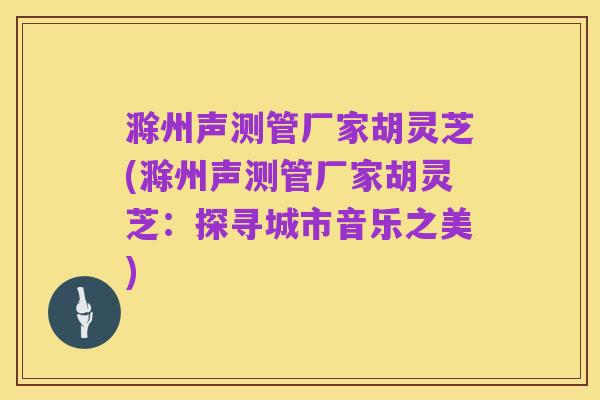 滁州声测管厂家胡灵芝(滁州声测管厂家胡灵芝:探寻城市音乐之美)