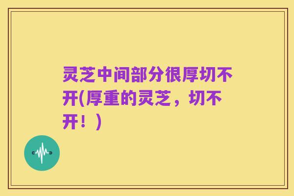 灵芝中间部分很厚切不开(厚重的灵芝，切不开！)