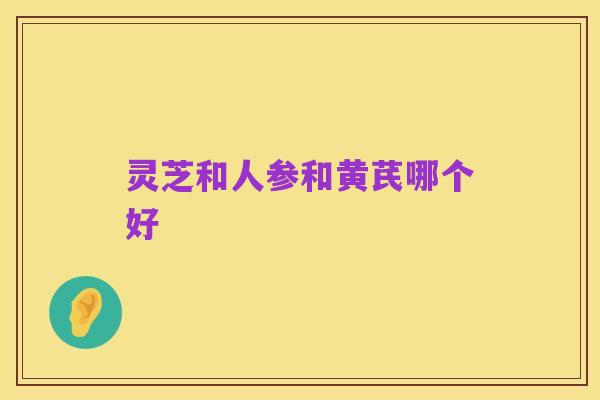灵芝和人参和黄芪哪个好